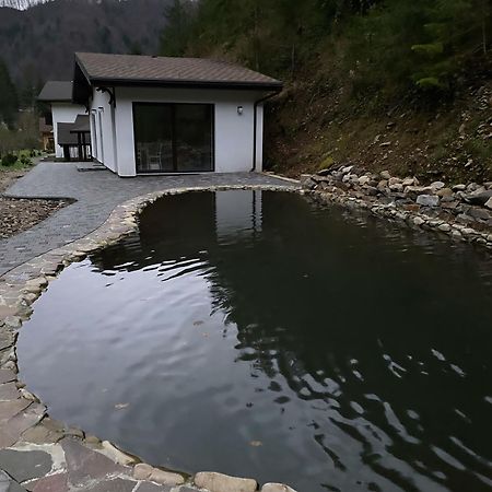 Cottage house Mizhhirya  Exterior foto