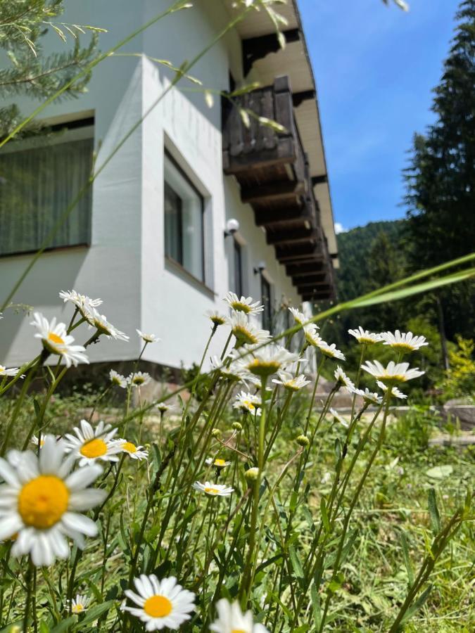Cottage house Mizhhirya  Exterior foto