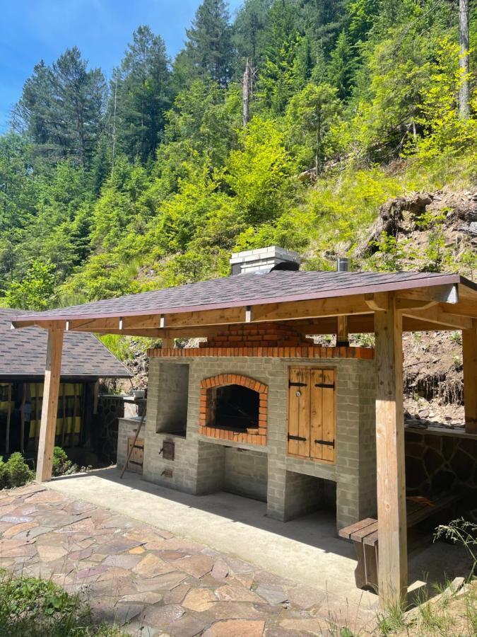 Cottage house Mizhhirya  Exterior foto