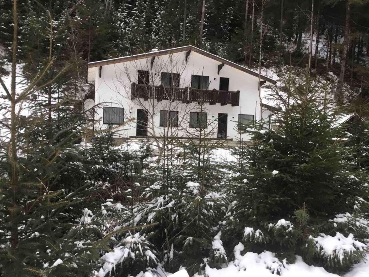 Cottage house Mizhhirya  Exterior foto
