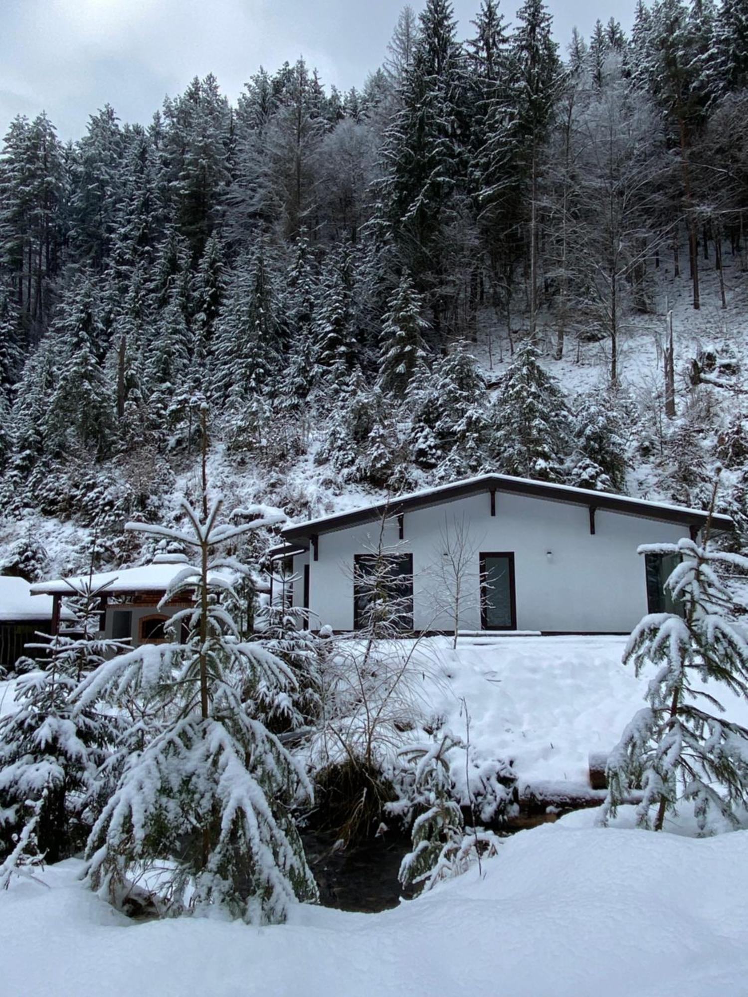Cottage house Mizhhirya  Exterior foto