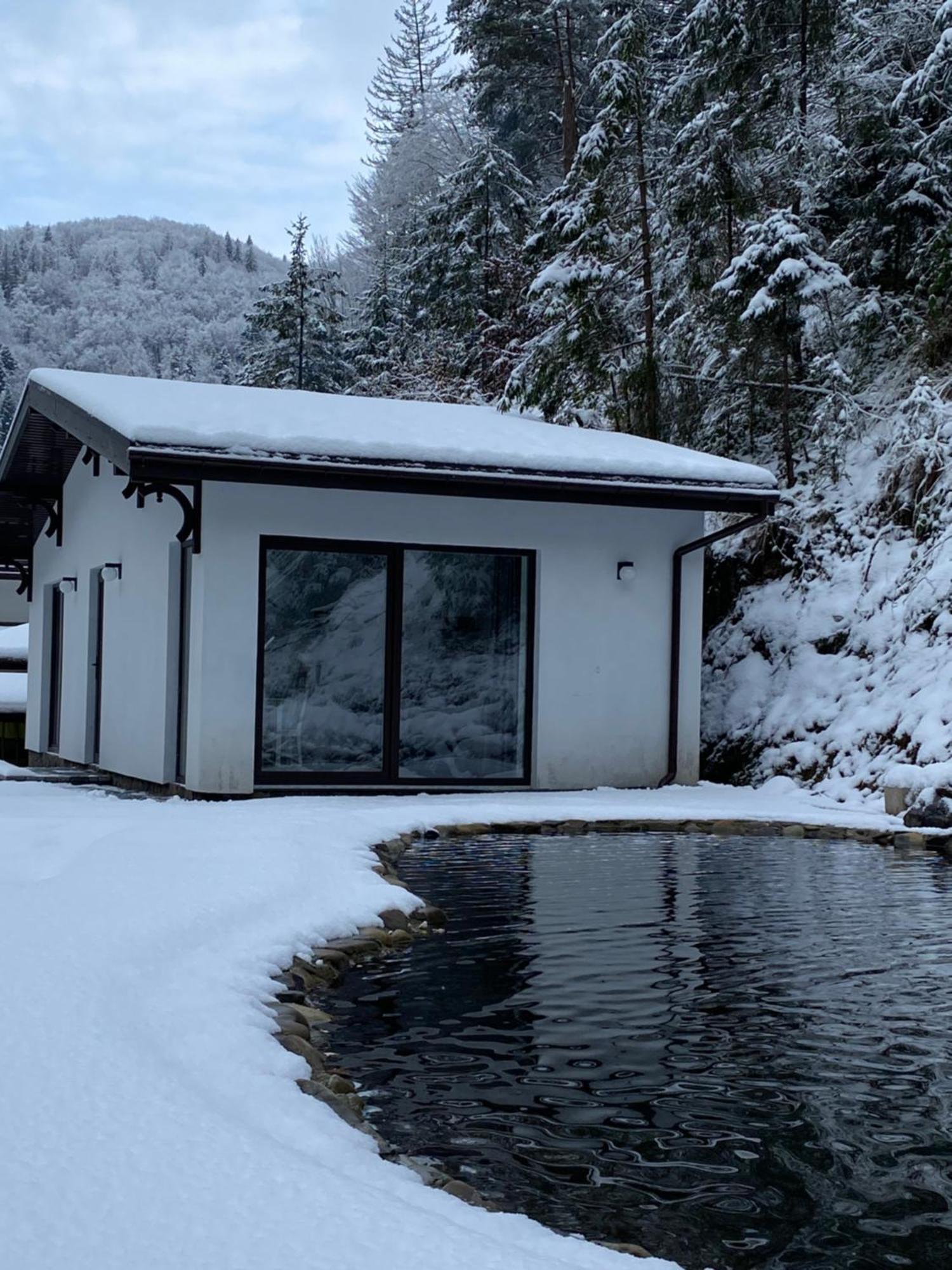 Cottage house Mizhhirya  Exterior foto