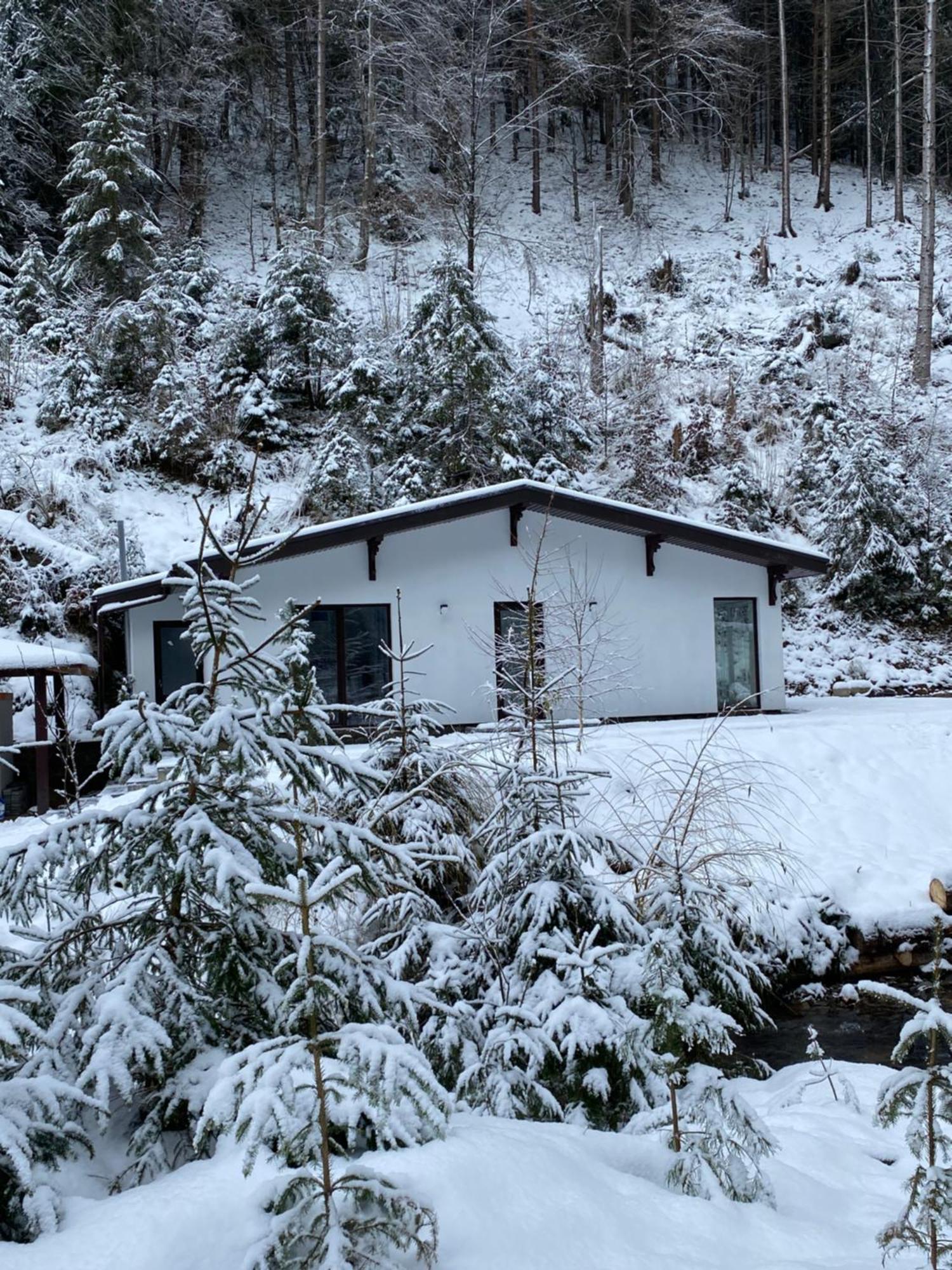 Cottage house Mizhhirya  Exterior foto